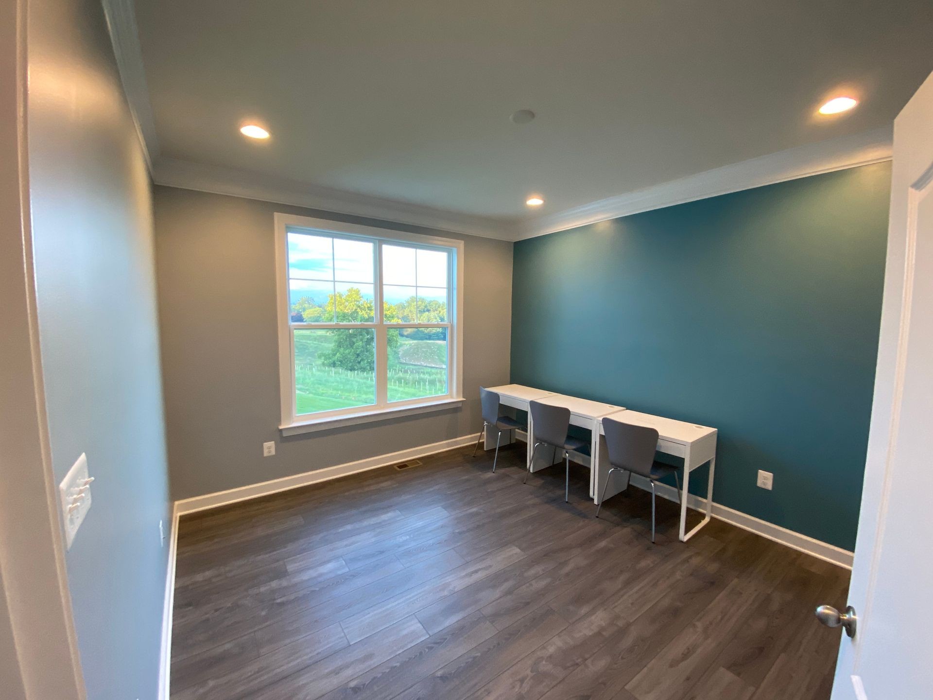 Accent wall painted in Bel Air, Md. 